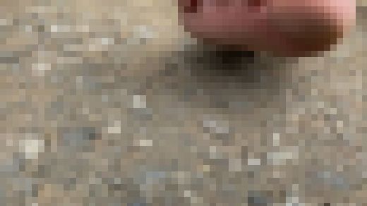 【完全裸足】第23弾!春の公園を裸足で歩く女性 サンプル画像2