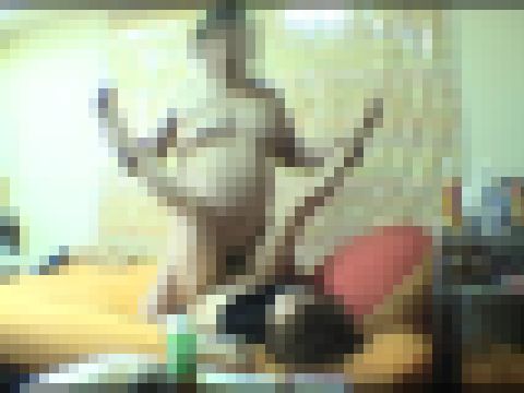 【PMCC】美人素人娘の隠し撮りセックス #005 LEC-006-05 サンプル画像2