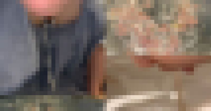 【ゲロ・嘔吐フェチ】「子犬系20代半ばOL」の喉からゲロ噴出と吐瀉物密写 サンプル画像