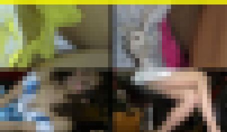 4456／「裏切り撮り・キャンちゃん危機一髪化作戦（112）」 サンプル画像