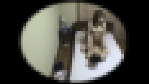 流出映像ドキュメント！File.12　サンプル画像3