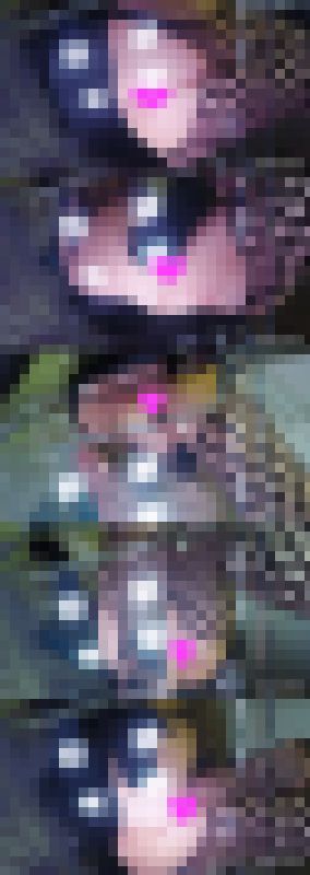 【マイクロミニ】透明椅子見上げてパンチラマ○チラ　サンプル画像1