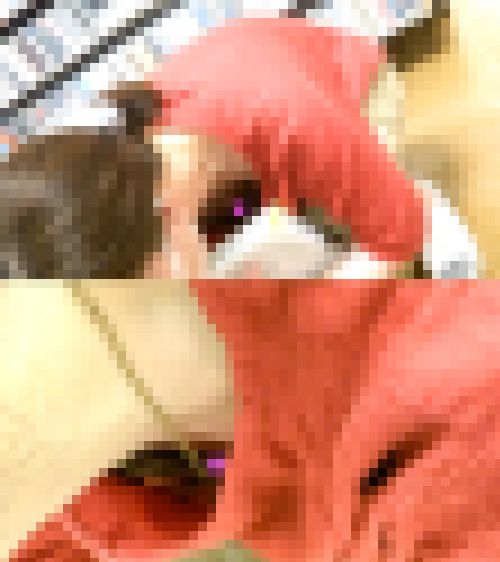 #331　油断した胸元を晒しちゃった４名の女性たち　サンプル画像2