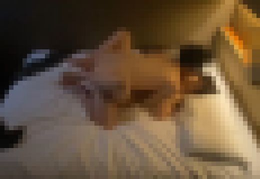 【後半部分】処女喪失。素直でかわいらしい19歳の女の子。こっそりゴムを外して中出しセックス! サンプル画像2