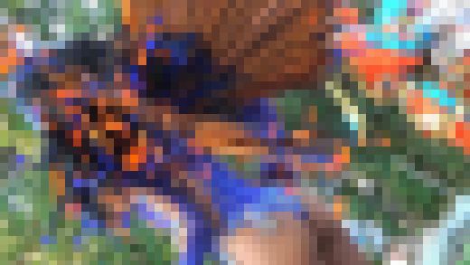 【独占配信作品】ETS-04 サンバガールよ永遠に 04～Tバック全開お姉さまサンバチーム　サンプル画像1