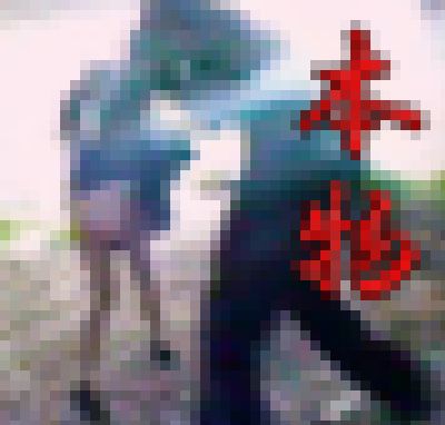 本物パンチラ?とかじゃ無く地元チンピラが同窓生を呼び出し無茶苦茶 サンプル画像