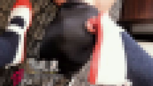 意外と背が高い170cm娘の愛の上履き顔踏み靴底舐めさせ電気アンマ　サンプル画像2