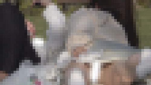 公園パンチラ６　※永久保存版！透けパンティでワレメまで見えちゃってる女子　サンプル画像3