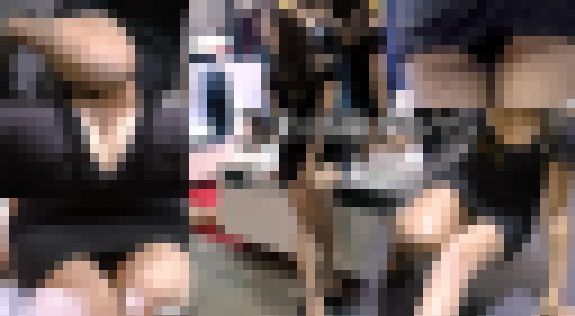 巨乳RQレーククイーン網タイツ美脚パンスト美人キャンギャル超絶美女 サンプル画像