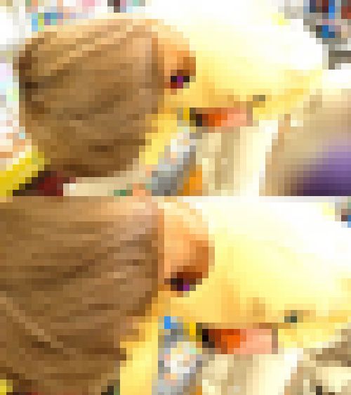 #342 長身美人なお姉さんの胸元の隙間に突撃【胸ちら】 サンプル画像