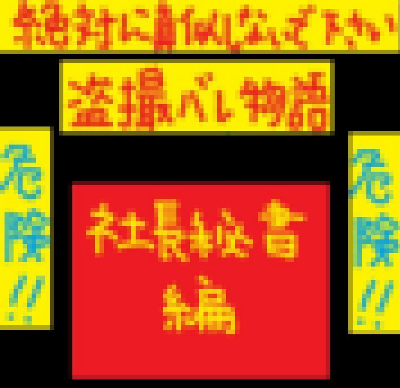 ※超危険撮影バレ物語（社長秘書編） サンプル画像
