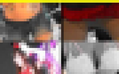 5523／「偽装撮り・キャンちゃん私家盤コレクション（71）」 サンプル画像