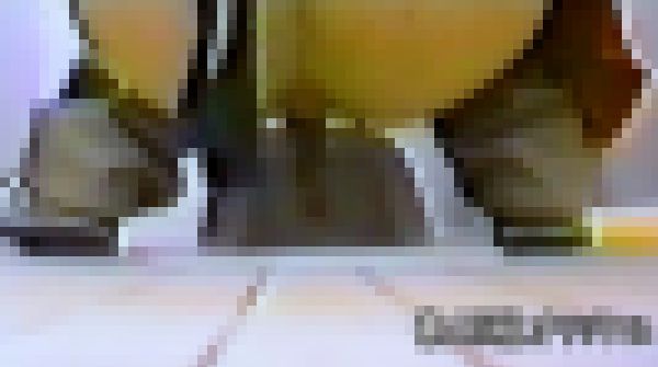 Vol.2 顔は絶対NG! 大便小便,排●,排泄うんこ特別編集ガチ手撮り編 サンプル画像