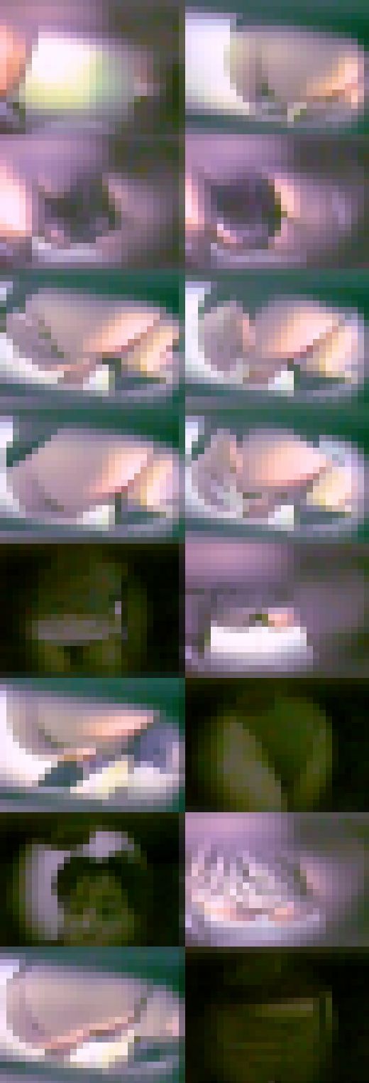 Vol.6 初公開トイレ女子便所で脱ぎ履き排泄オシッコ小便うんこ大便WC　サンプル画像2