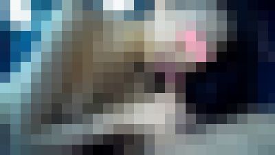 スレンダーハーフ美女ギャルパート②!!きつめなルックスはドSな感じで車内でエロフェラしてもらい大量射精 サンプル画像