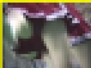 3096／「蒐集撮り・チアーでいこう（40）」 サンプル画像