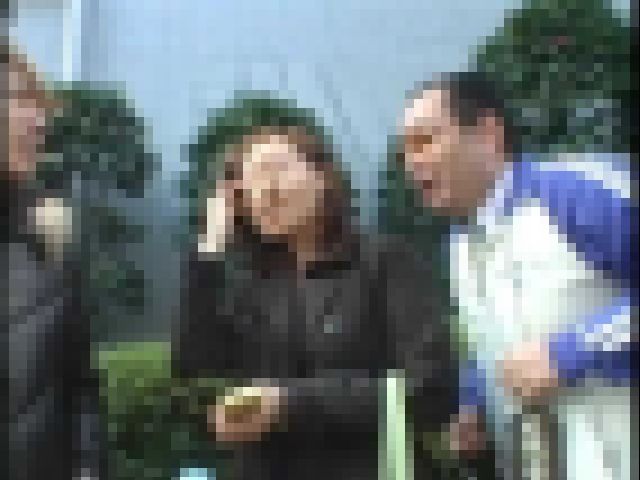 熟女ナンパ 100人斬り Part 1 DSE-275-1-1 サンプル画像