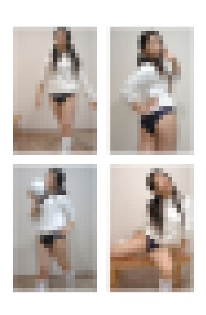 オリジナル画像集　蝶架 7 （再販）　サンプル画像3