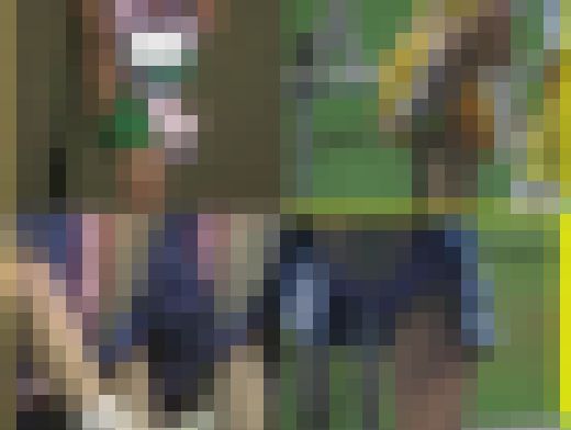 3352／「お裾分け撮り・風と光とチアスピリッツ（３）」　サンプル画像2