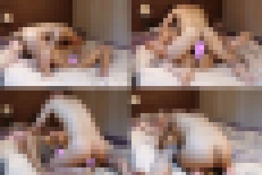 (再販商品) (個人撮影) 南米ハーフの女の子 褐色のお肌がエキゾチック　サンプル画像2