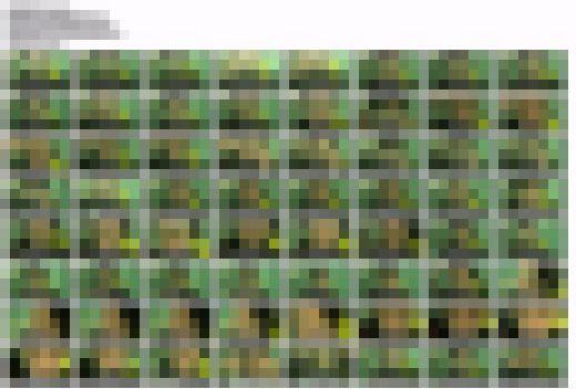 水中動画　40　音声無し　サンプル画像1