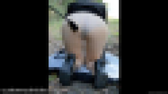 スーツのOLが鞭でスパンキングされるSMイメージビデオ255r2 サンプル画像