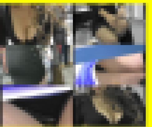 6229／「偽装撮り・キャンちゃん私家盤コレクション（99）～チラ篇②」　サンプル画像2