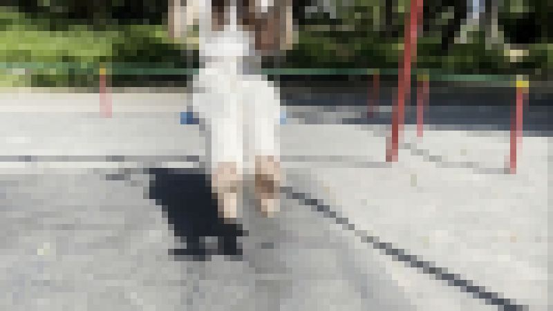 【完全裸足】第33弾!裸足で猛暑日の公園を歩く女性 part2 サンプル画像
