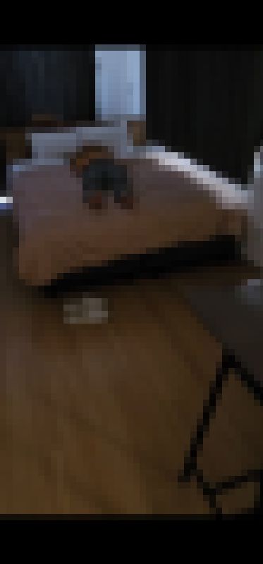 ラリる姫ハンター1 かんな(着衣編) サンプル画像