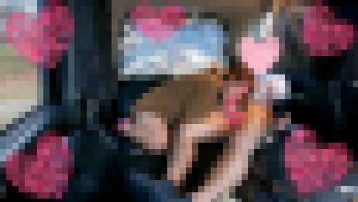激カワ妊婦にこっそり中出し♪♪妊娠8ヶ月の人妻と車内SEX♪♪　サンプル画像3