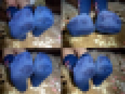 【セット】汗跡くっきり！酸っぱいタイツ！保育士さんのおみ足事情！足得編・1【個撮】　サンプル画像2
