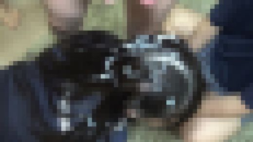 こじろう＠カントク作品ザーメン総集編・前編　サンプル画像1