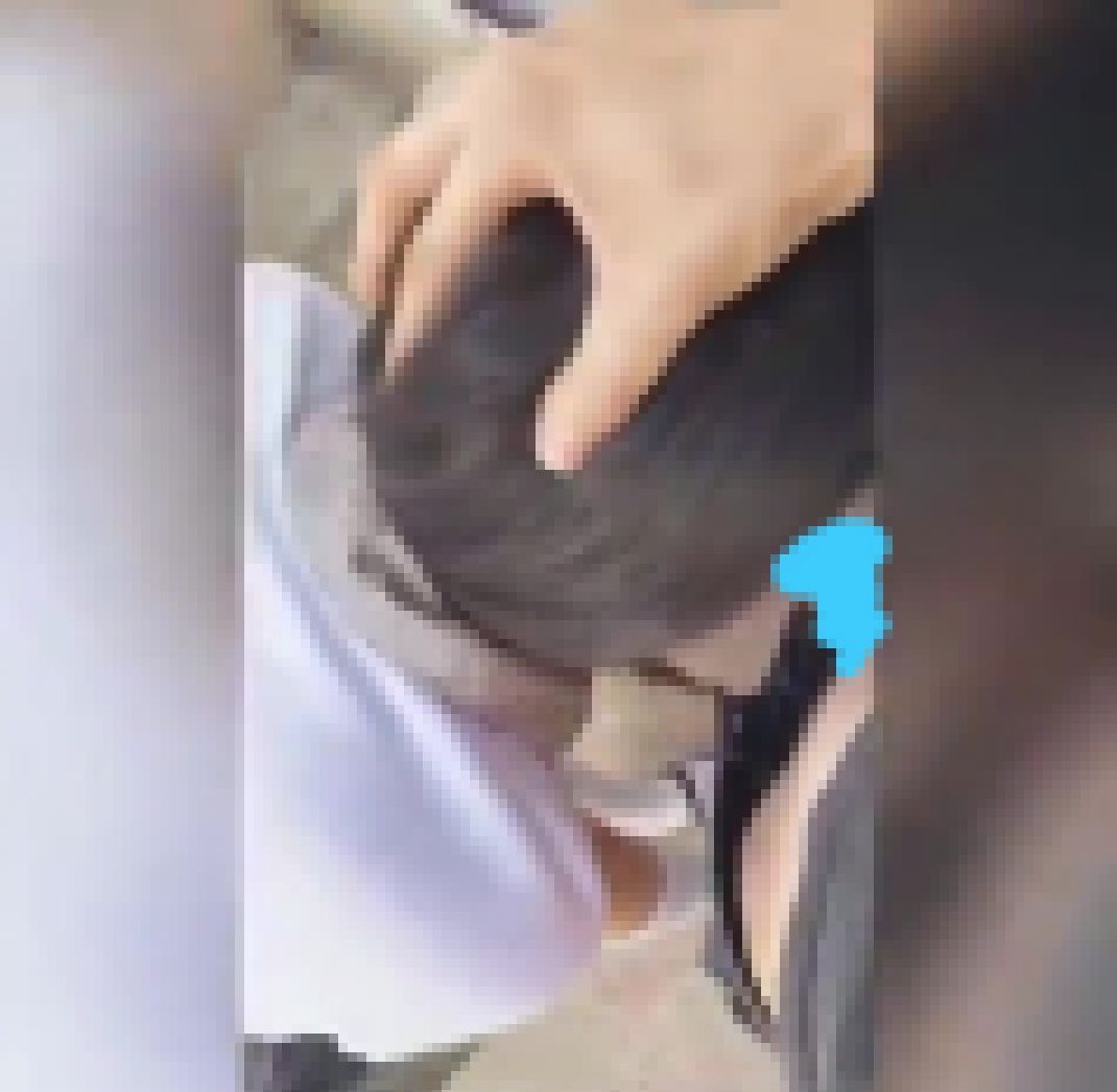 がちモノ・ｊ〇・路上で襲撃フェラ サンプル画像