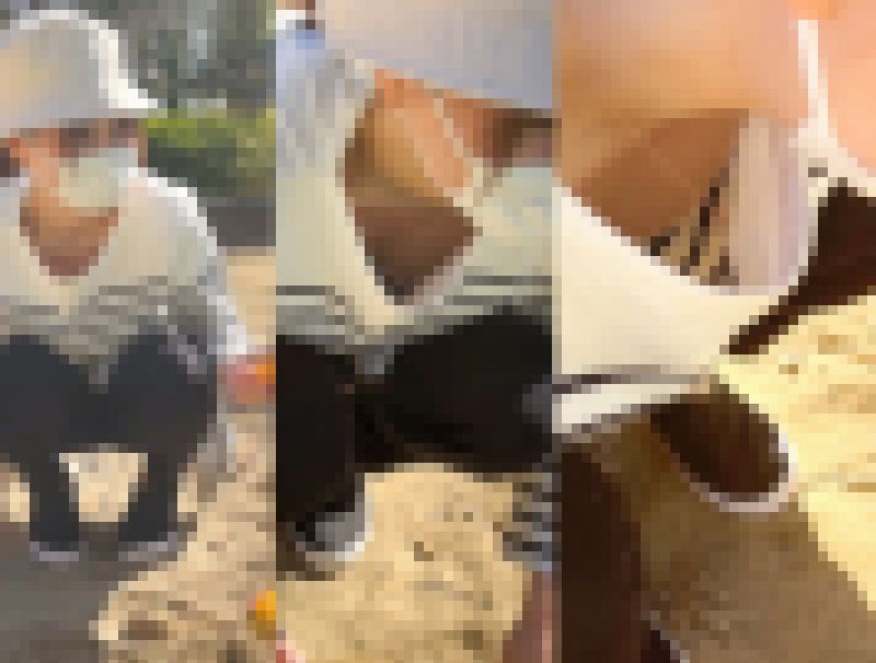 公園で胸チラしてた近所のママさん。 サンプル画像