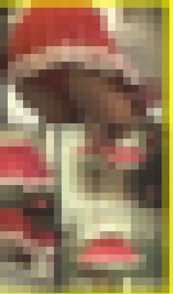 2591／「蒐集撮り・チアーでいこう（14）」　サンプル画像2