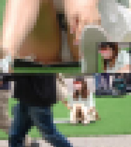 ※25%OFF【3人分セット】公園のお宝パンチラ/警戒心が薄い女子達　サンプル画像2