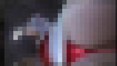 4117／「偽装撮り・キャンちゃん私家盤コレクション（３）」 サンプル画像