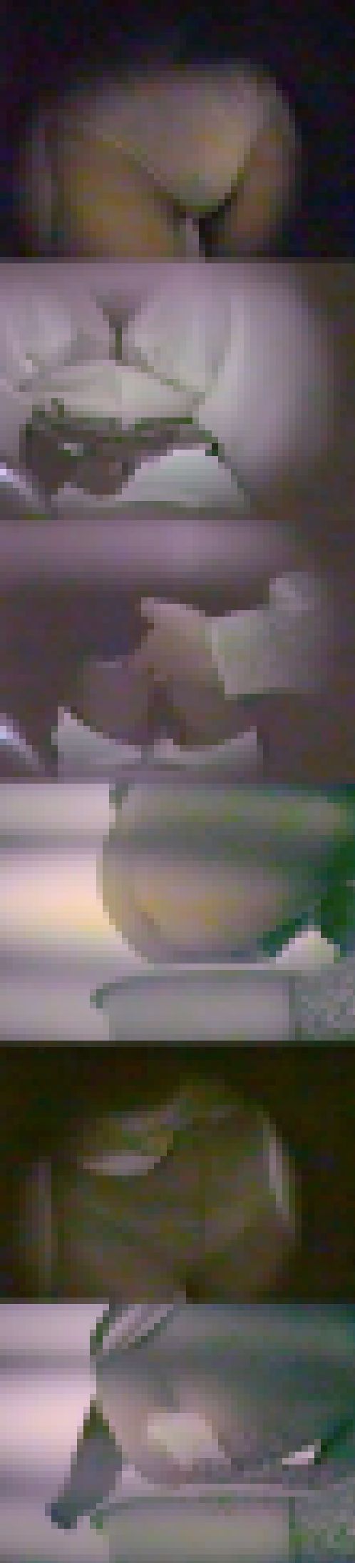 Vol.20 和式トイレ女子便所で脱ぎ履きリアル排泄,小便,大便うんこ　サンプル画像1