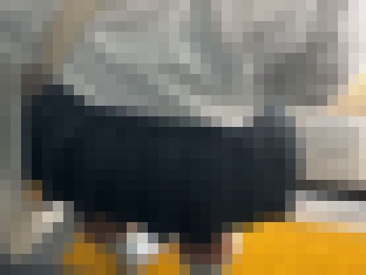 日本の車窓から【本日の混み具合】EP２１　サンプル画像1