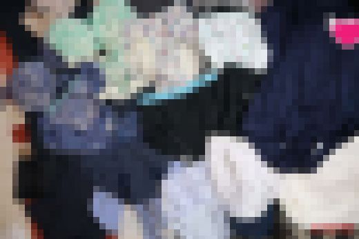 J〇断捨離品　開封の儀058 *親子丼P*　サンプル画像1