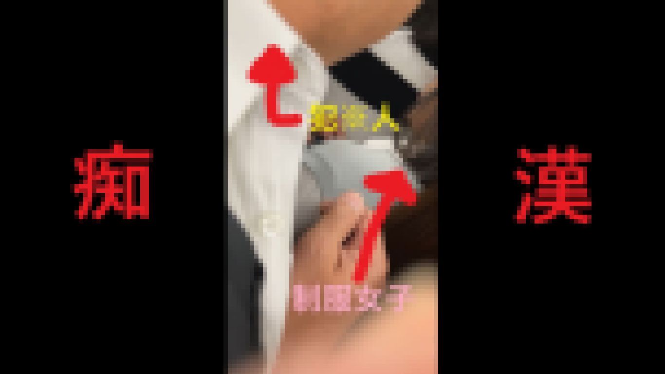 日本の車窓から【本日の混み具合】EP24 サンプル画像