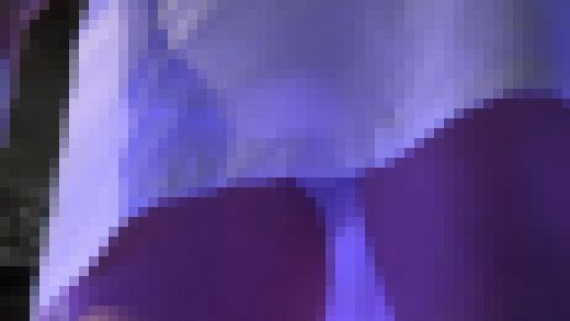 ローアンキャンギャルコレクション496　サンプル画像3