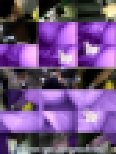 【ご新規さま半額セール!】美脚、黒髪、ポニテ、制服女子の純白パンツを汚してしまいました！【再販】 サンプル画像