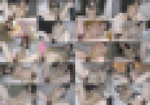 《お年玉企画》【電車チカン】オキテ破りの特典映像総集編★チカンに遭った美○女40人のオナニー映像をたっぷりノーカット1時間18分　サンプル画像1