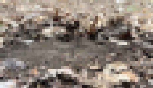 ローファーでチョコパン踏み潰し(おまけあり)　サンプル画像2
