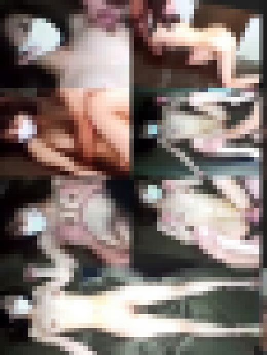美人プロゴルファー筋肉下半身がエロ過ぎます。生挿入動画　サンプル画像3