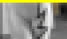 5689／「偽装撮り・キャンちゃん私家盤コレクション（76）～肉感篇２」 サンプル画像