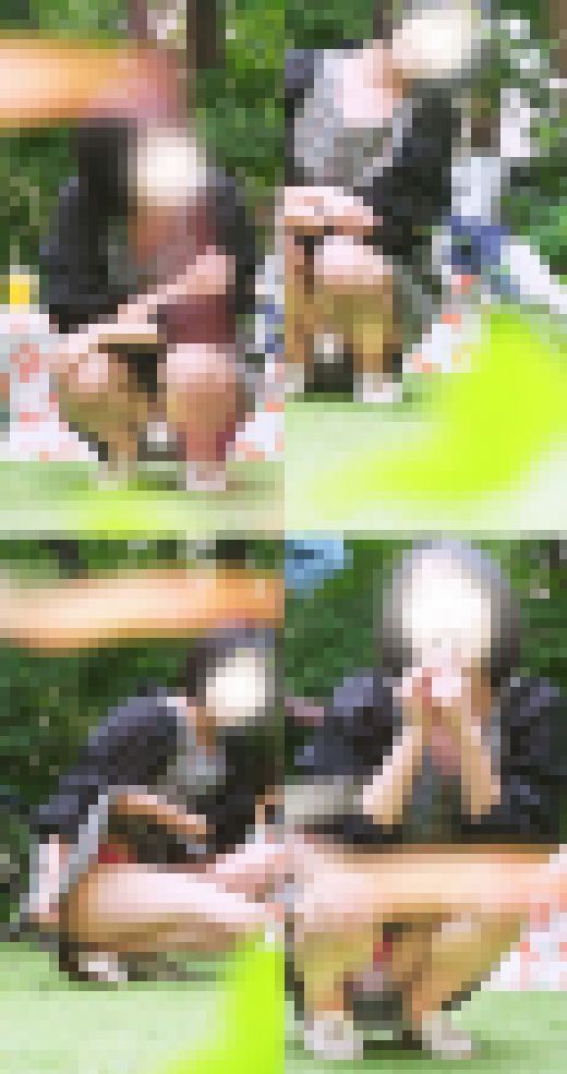 「だからＤＴなんだよ♡」外でも大胆！　清純お姉さまの幸せはスカートの中に・・・　サンプル画像2