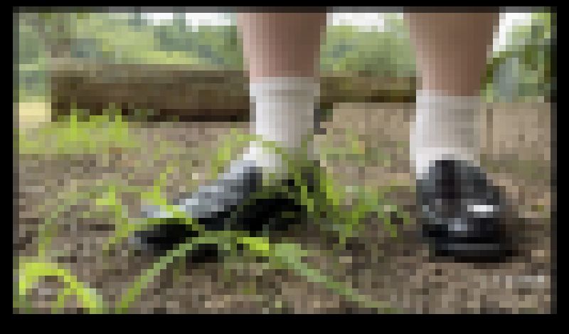 【クラッシュ】足元でローファーに草が踏まれる(J2_010) サンプル画像