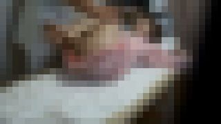 新歌舞伎町整体治療院26　サンプル画像1